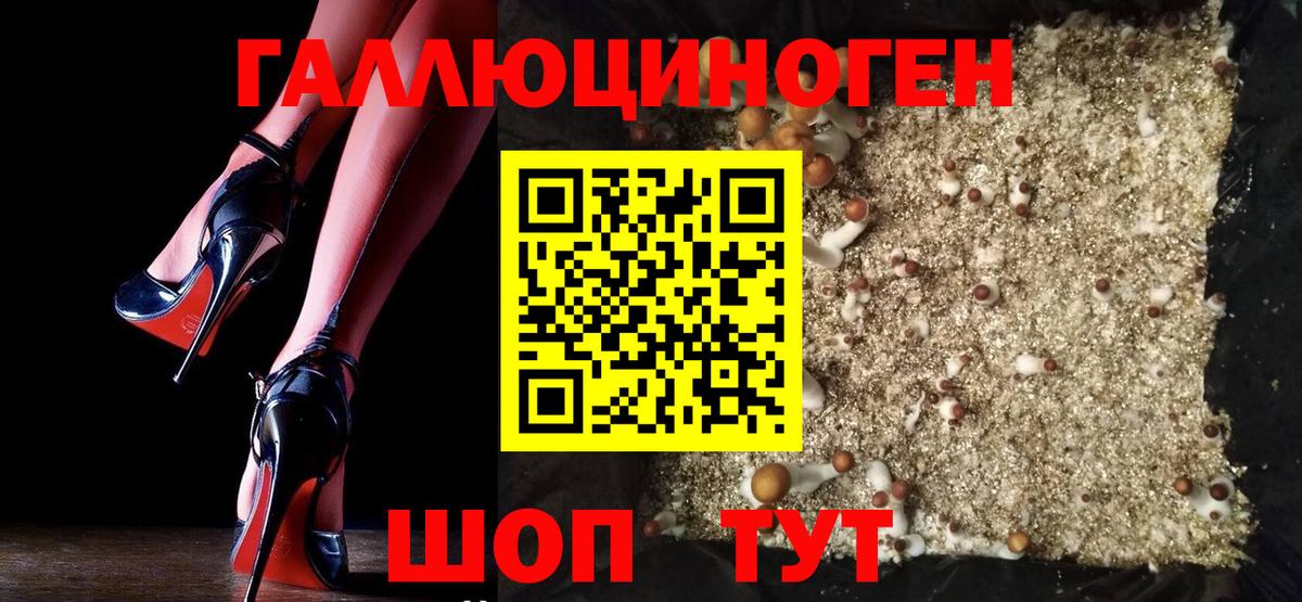 Галлюциногенные грибы GOLDEN TEACHER  Вход с VPN  где купить наркоту  Галлюциногенные грибы прущие грибы  Когалым 