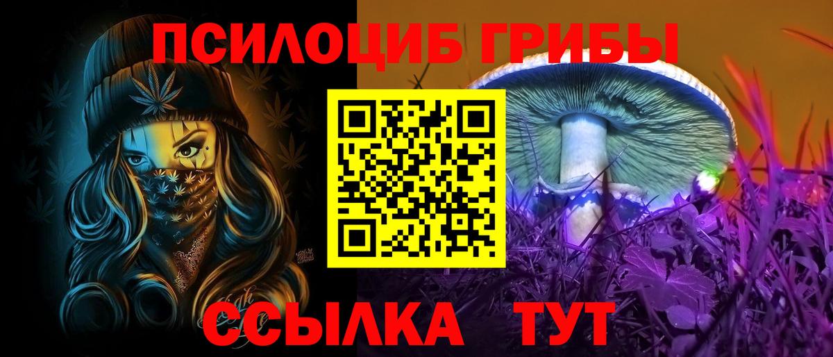 Галлюциногенные грибы Psilocybine cubensis Когалым